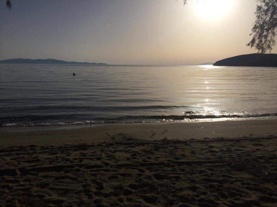 Elia Apartments Άγιος Ρομανός Εξωτερικό φωτογραφία